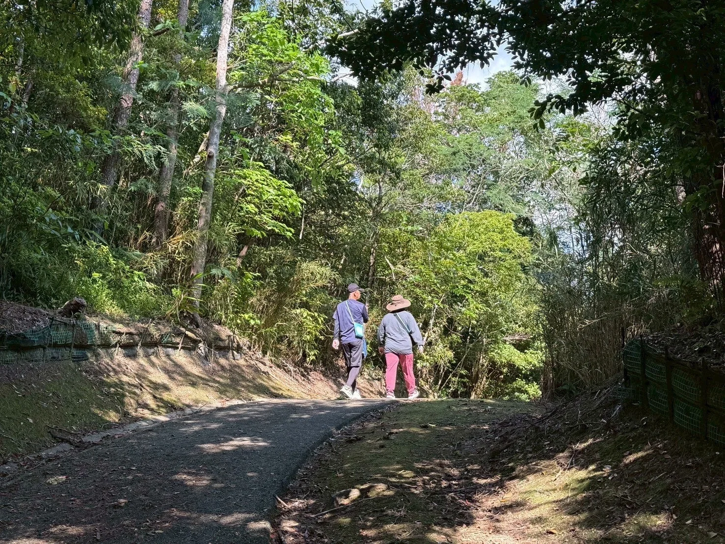 森の中を歩く参加者