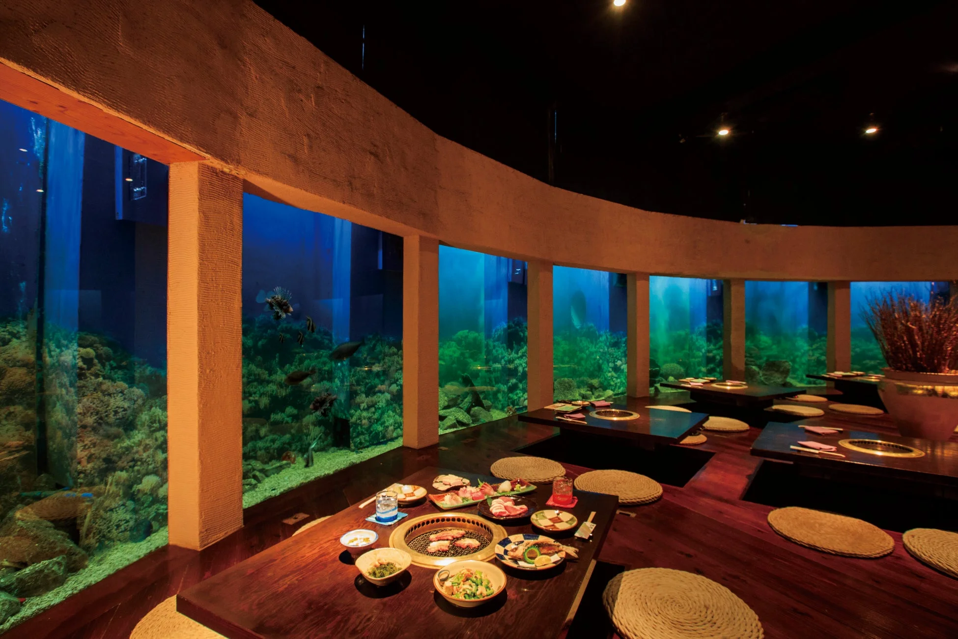 水槽のあるレストラン