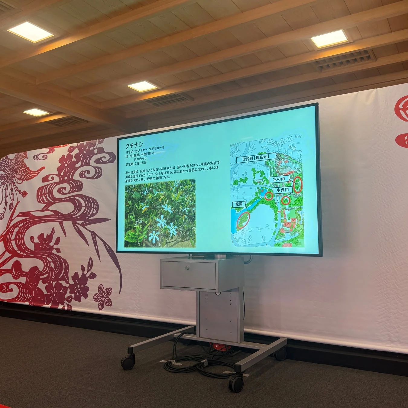 クチナシのプレゼンテーション画面