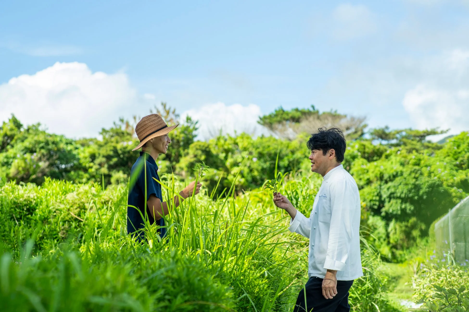 畑で話す男性とシェフ