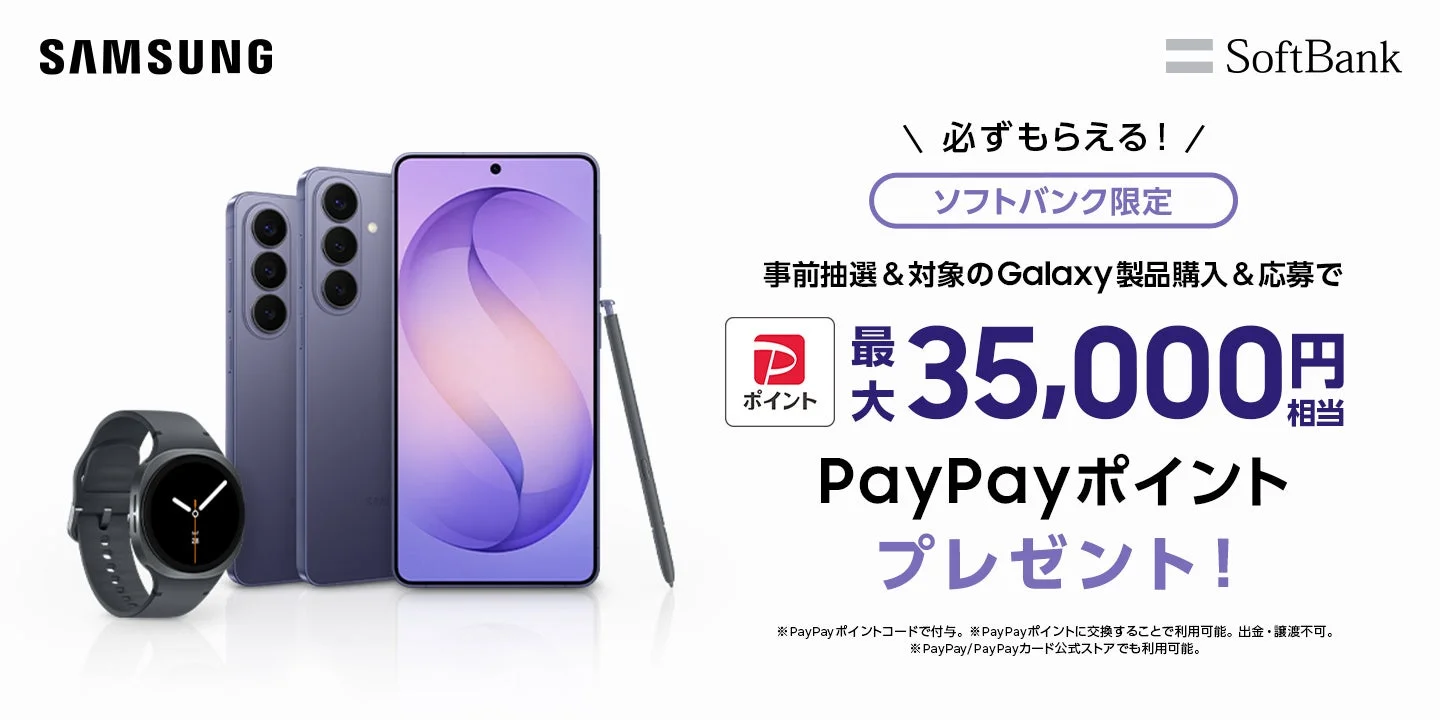 PayPayポイントキャンペーン