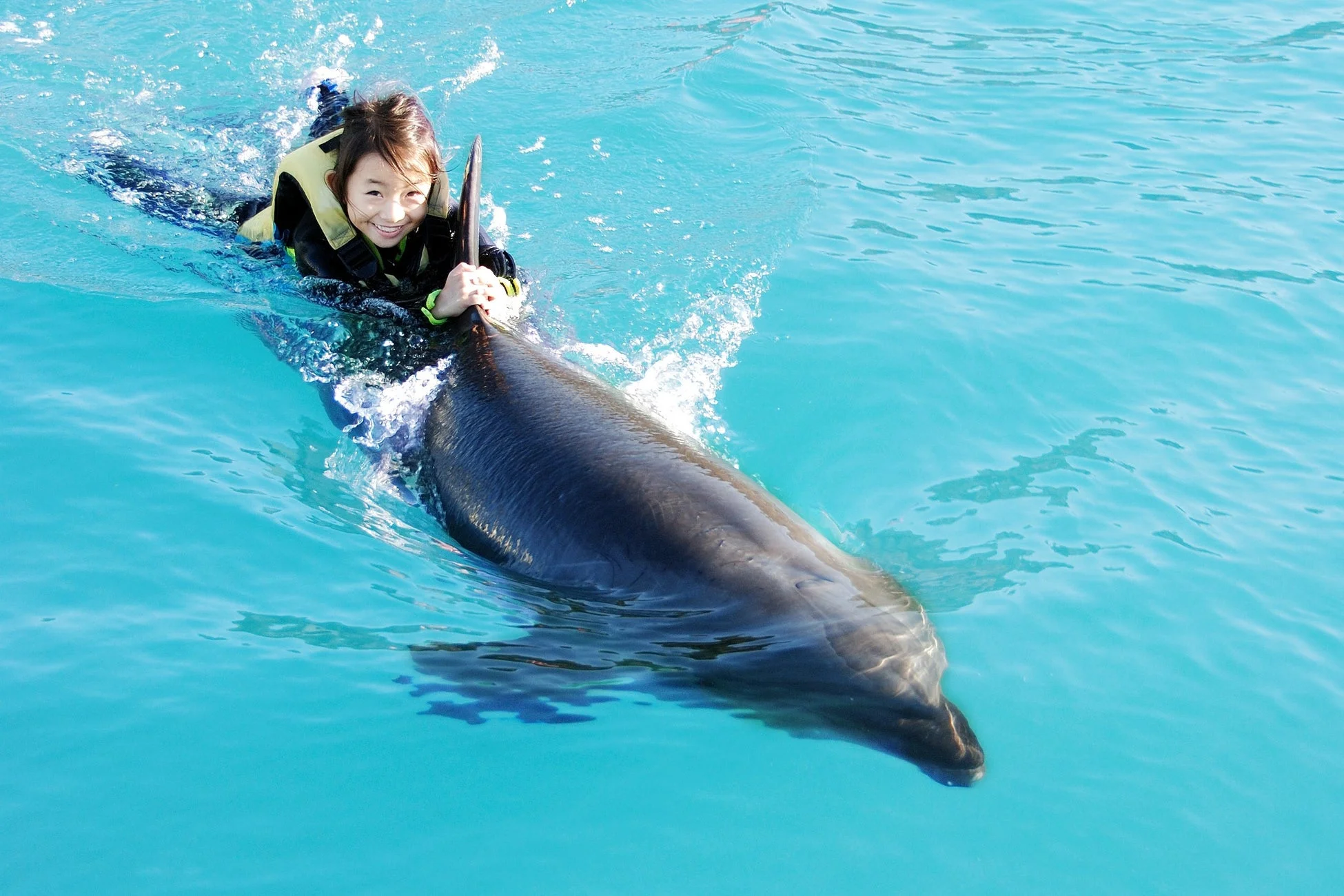 ハッピードルフィン/ドルフィンエンカウンターS