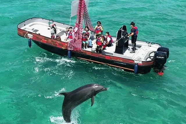 ドルフィンアドベンチャー