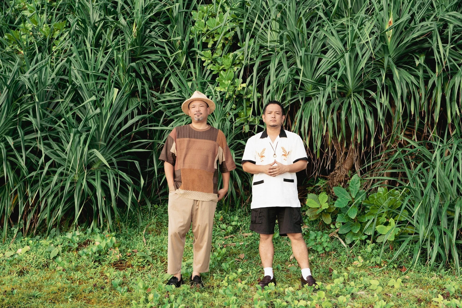 D-51のアーティスト写真