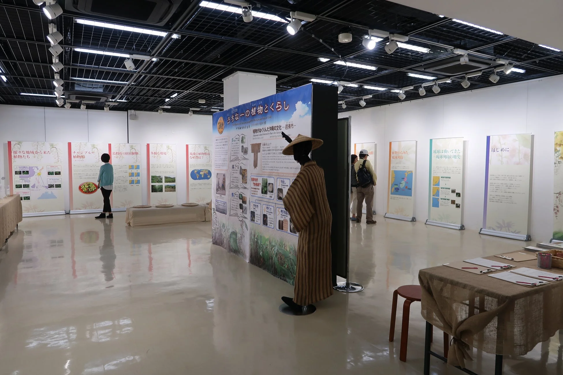 うちなーの植物とくらし