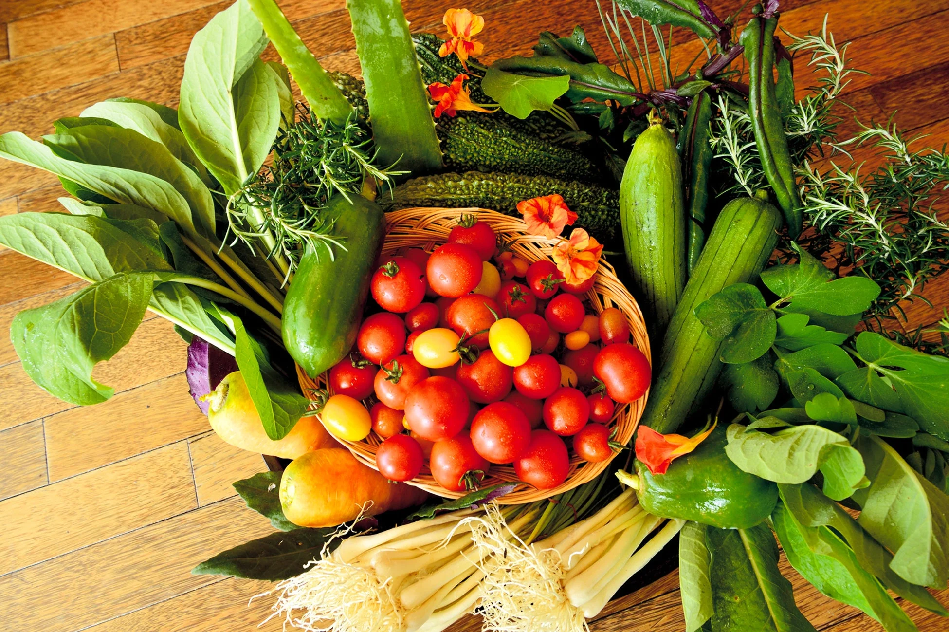 籠に入った採れたての新鮮な野菜や果物