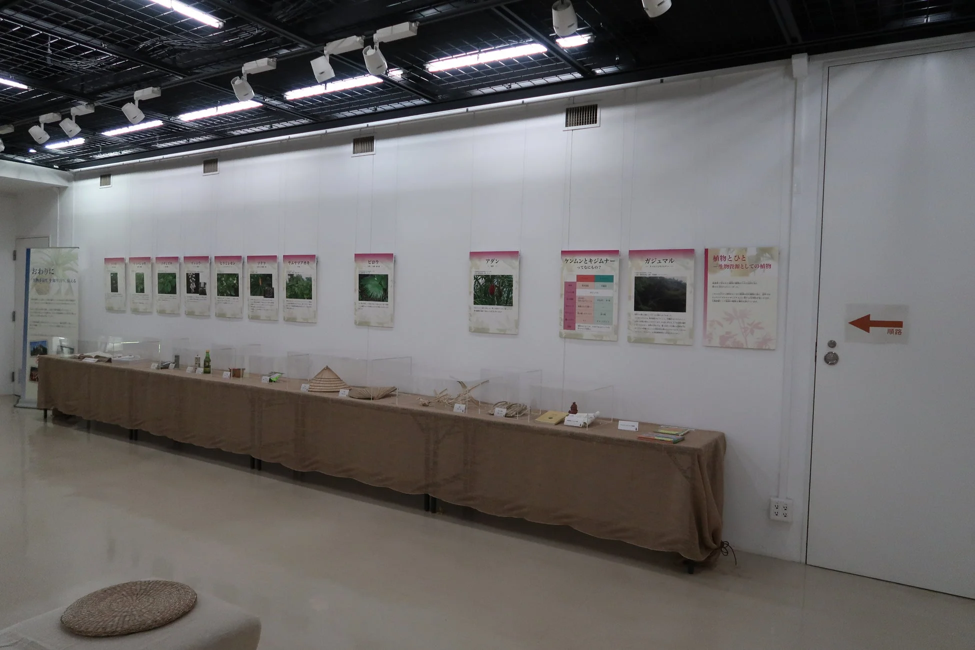 植物と生物資源の展示