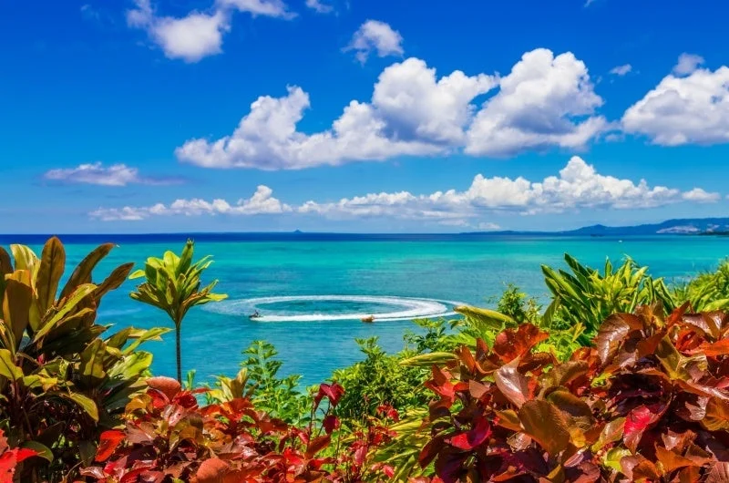 青い空とエメラルドグリーンの海が広がる南国の風景
