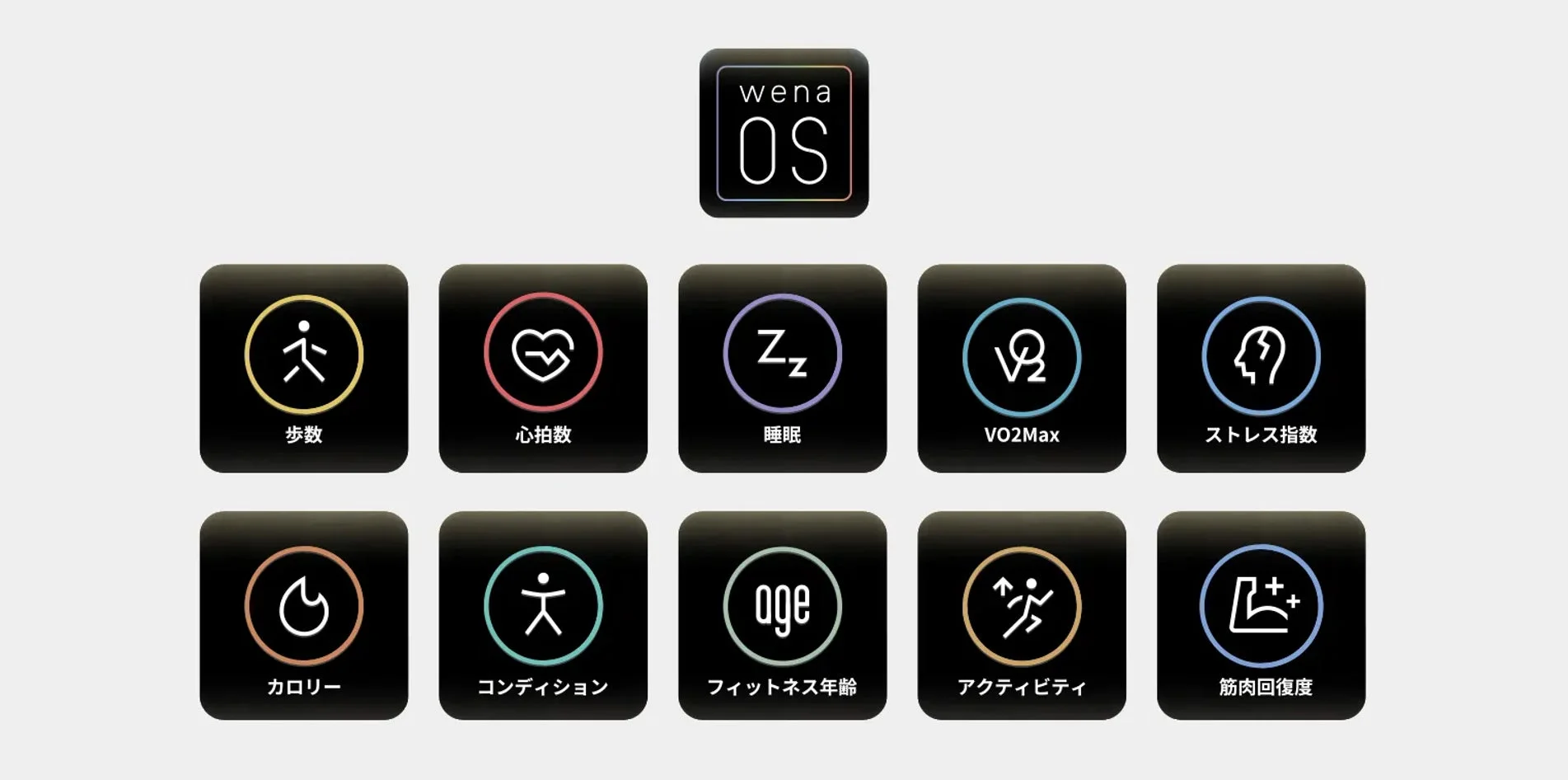 wena OS ヘルスケア機能