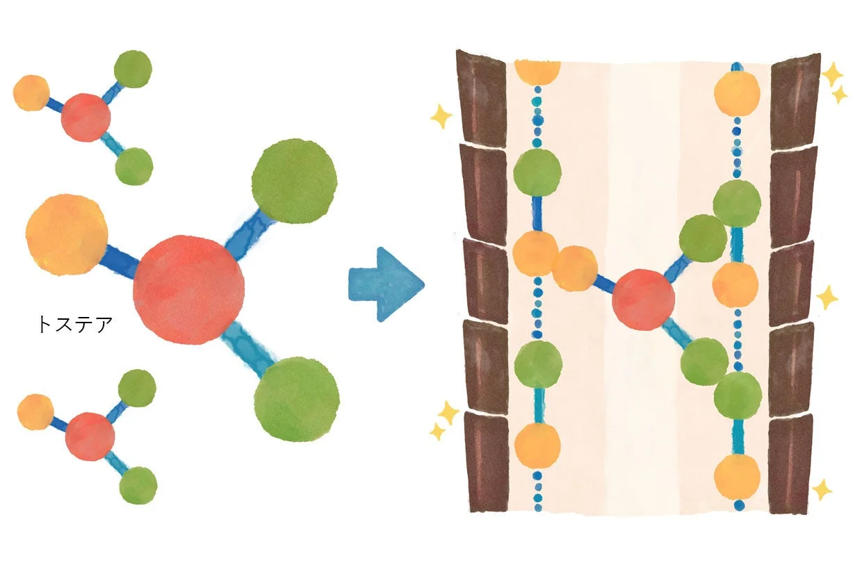 トステアの分子構造