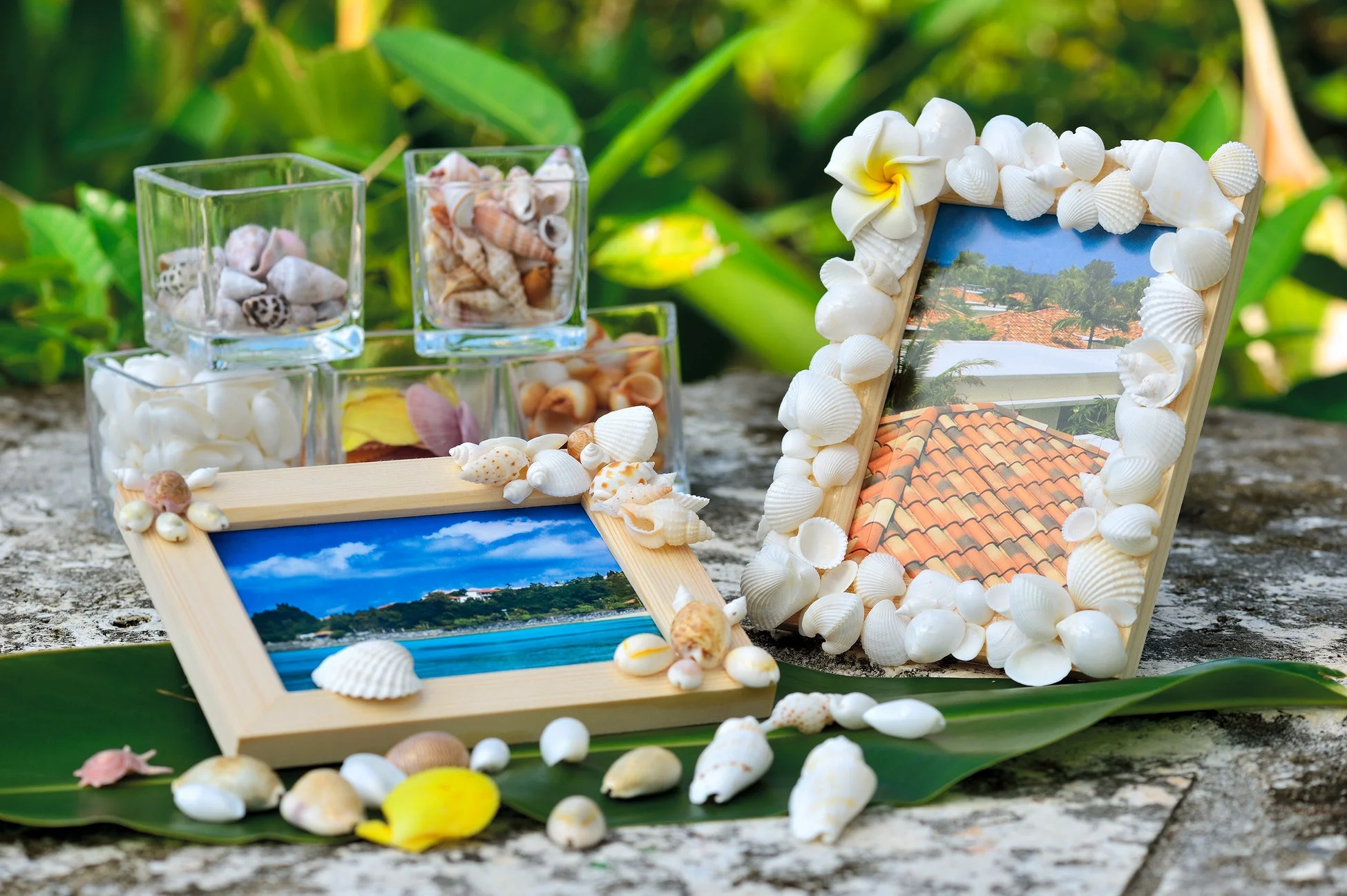 貝殻のフォトフレーム