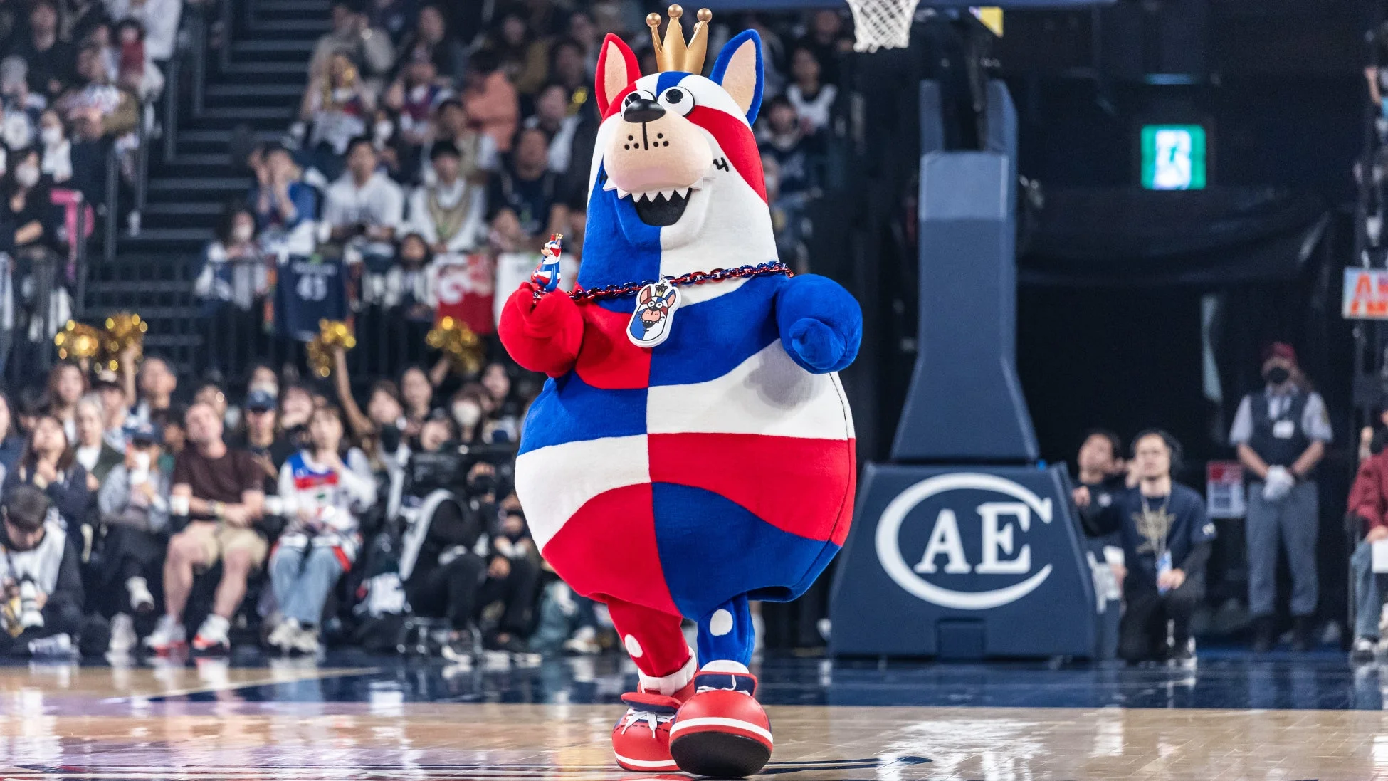 バスケットボールコートに立つ、赤、白、青の三色で彩られた王冠を被ったマスコットキャラクター
