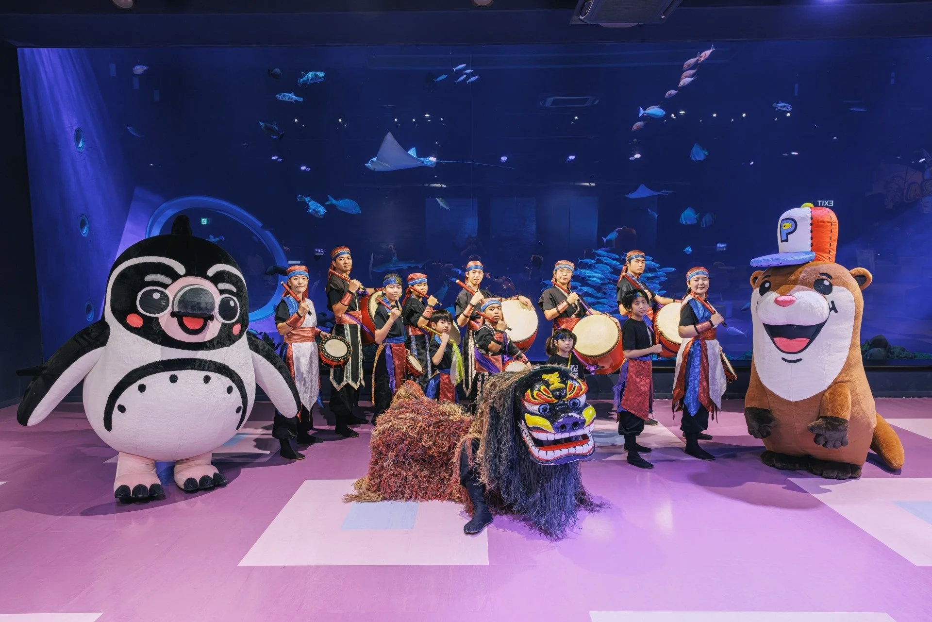 水族館でのエイサーショー