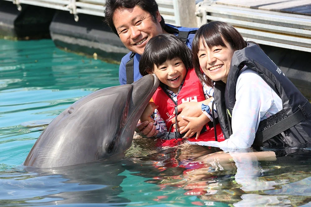 イルカと触れ合う家族