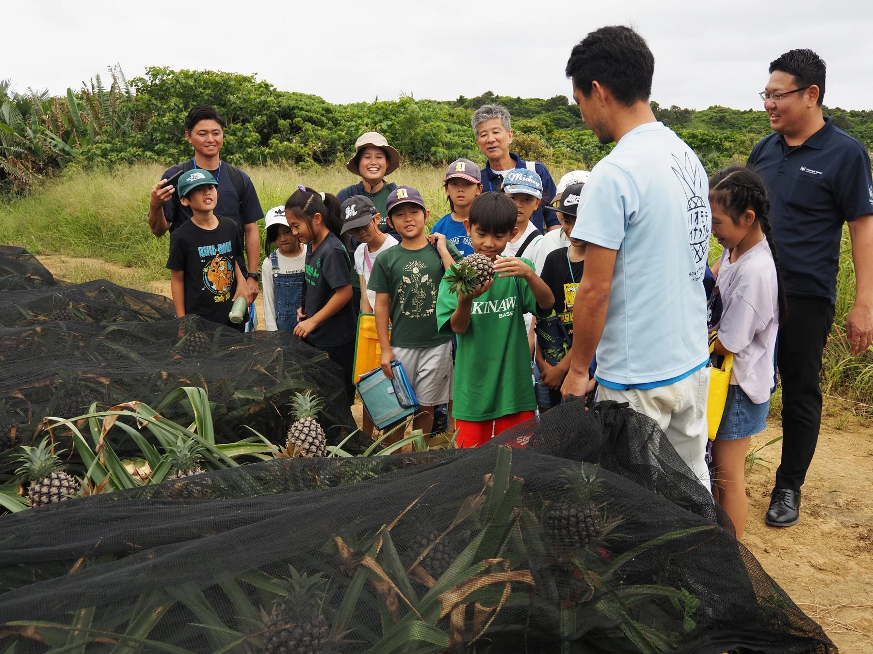 ピーチパインの収穫体験