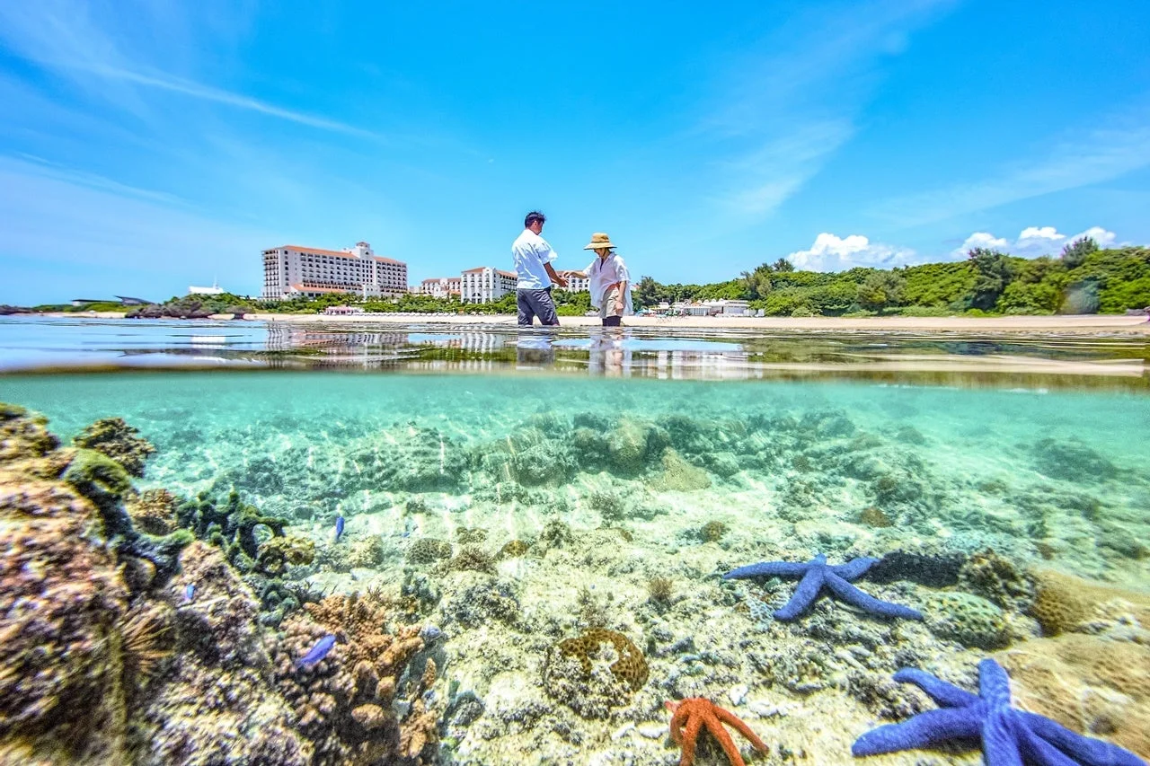 リーフトレイル