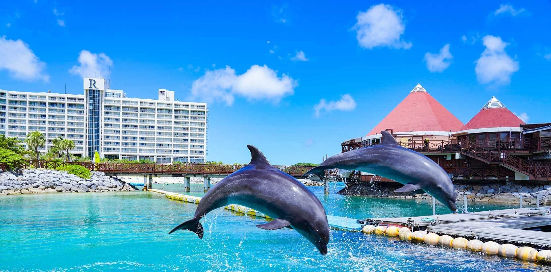 イルカジャンプ