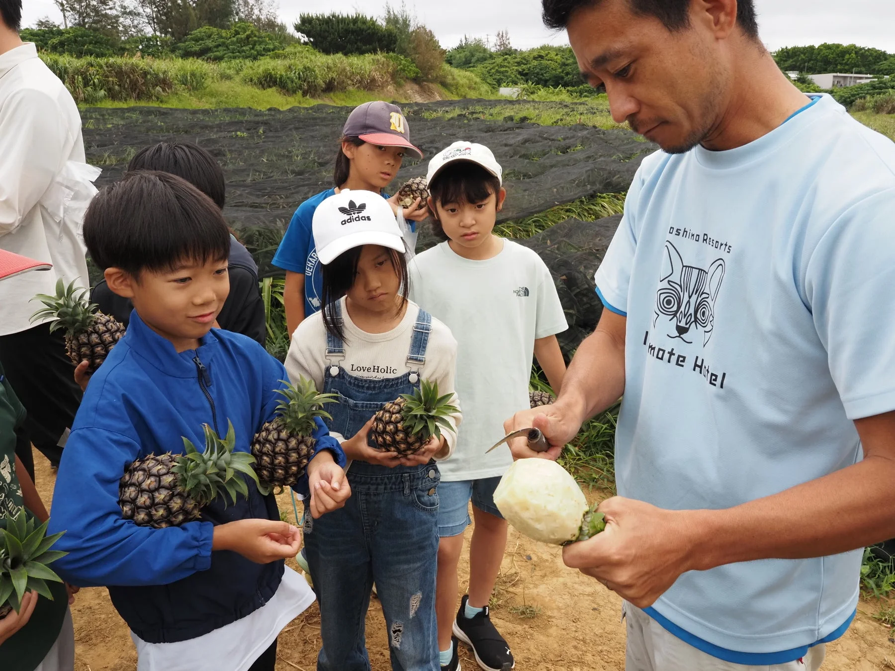 収穫したピーチパインを丸かじり