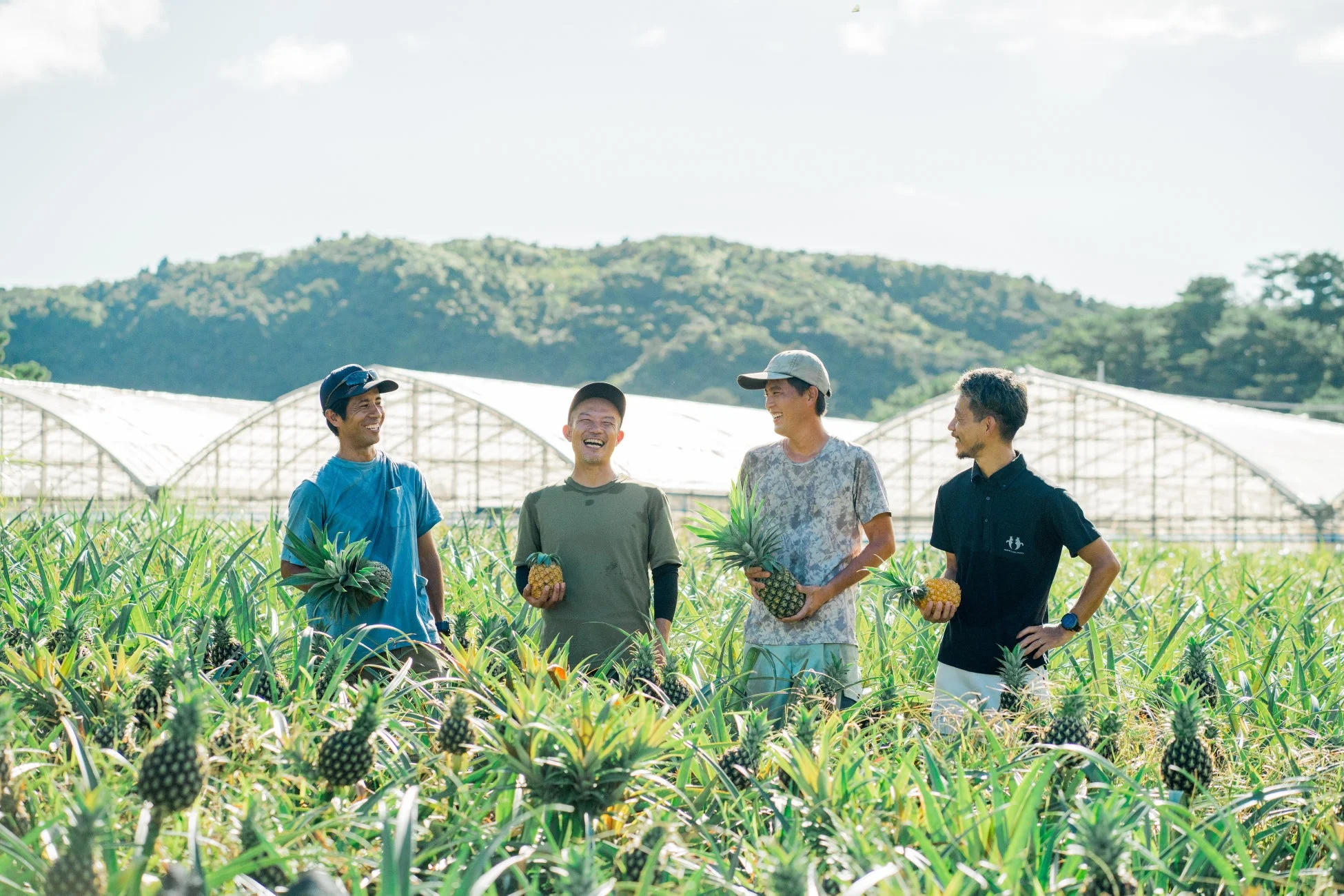 西表島トロピカルフルーツ生産組合の皆様