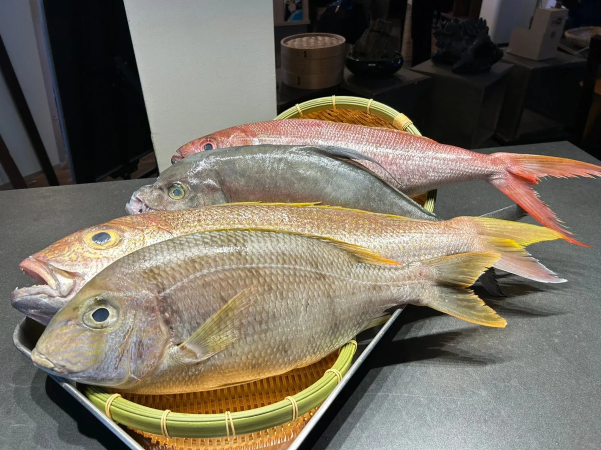 竹籠に並べられた鮮魚