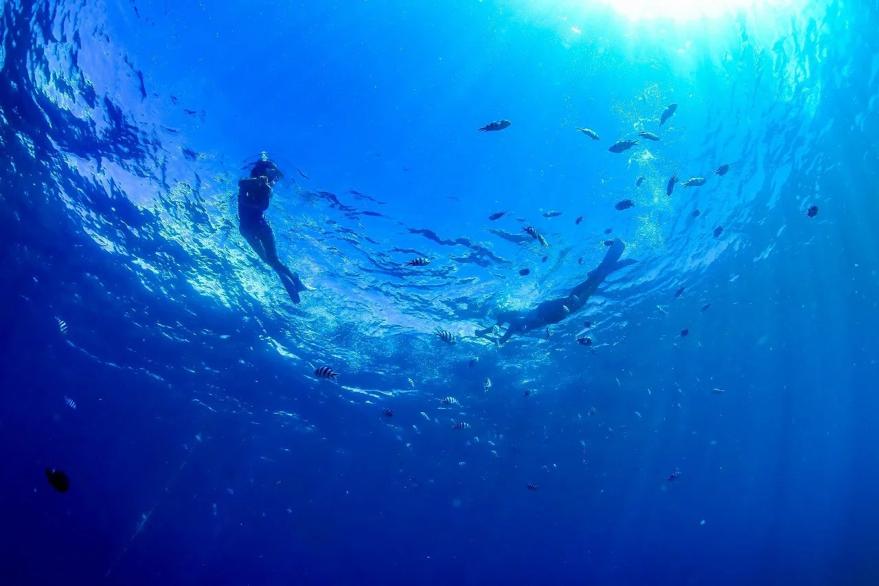 シュノーケリング