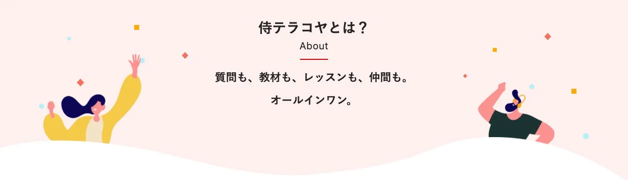 侍テラコヤとは? オールインワン。