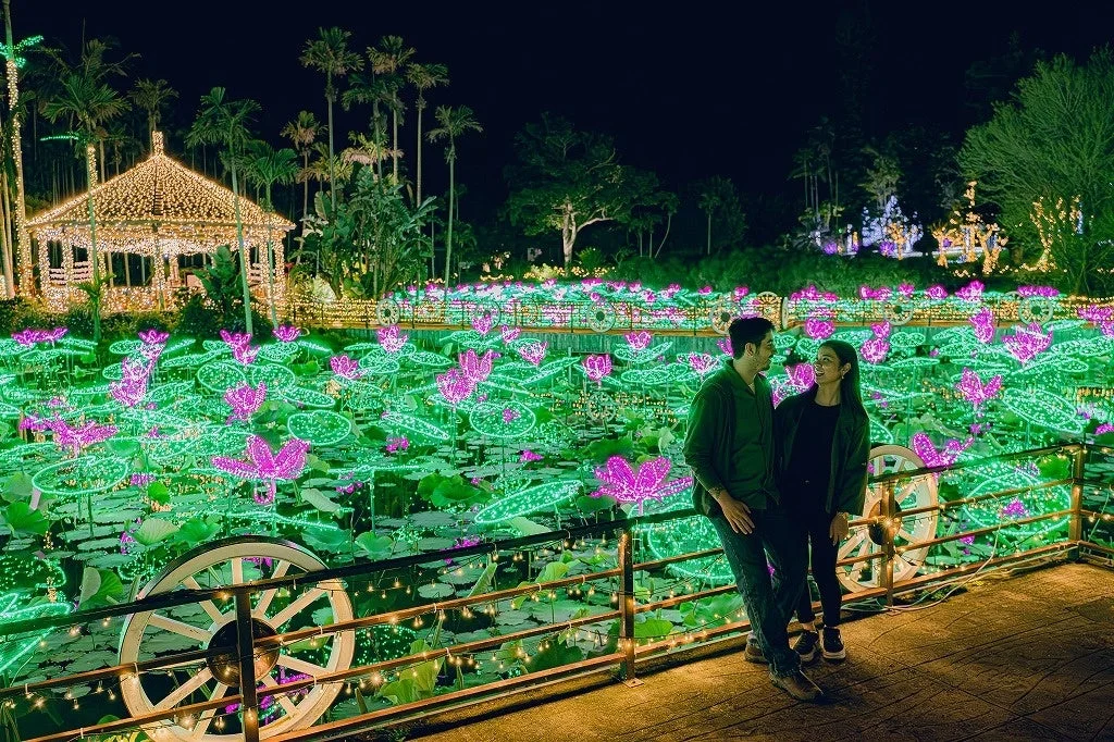 蓮の形をしたイルミネーション