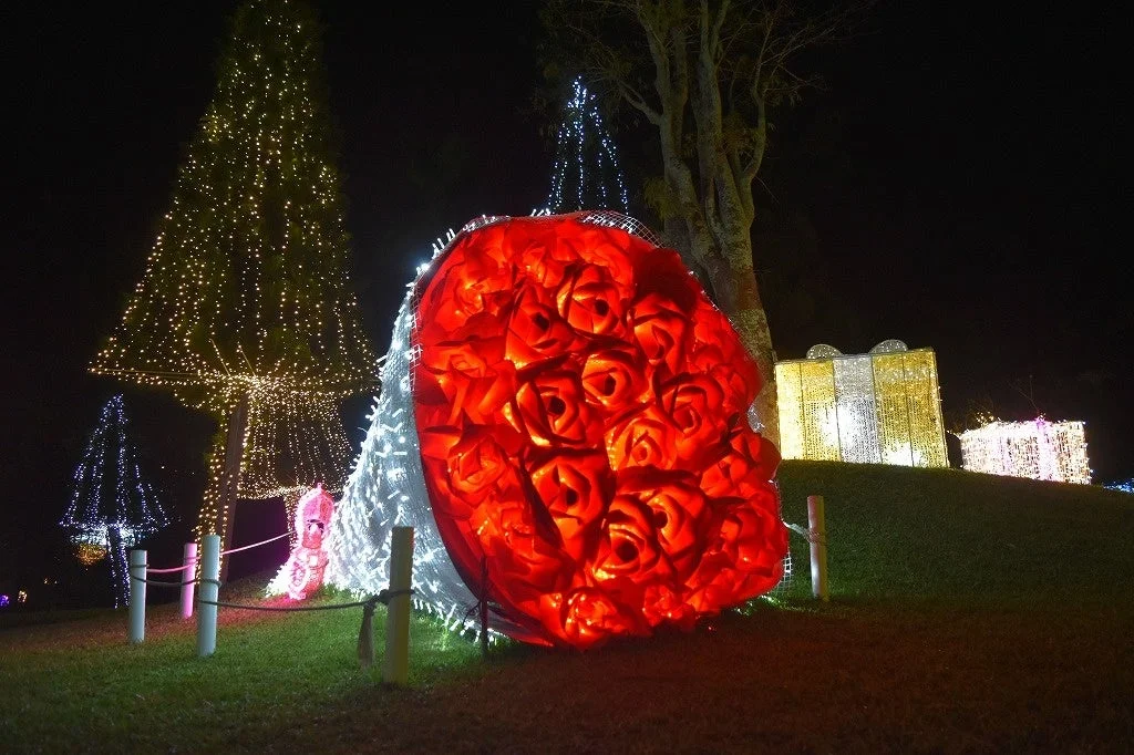 巨大な赤いバラの花束のイルミネーション