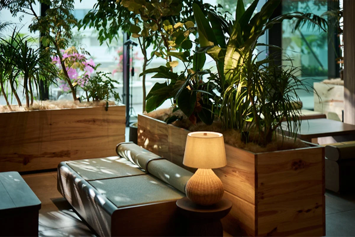 ロビーの観葉植物