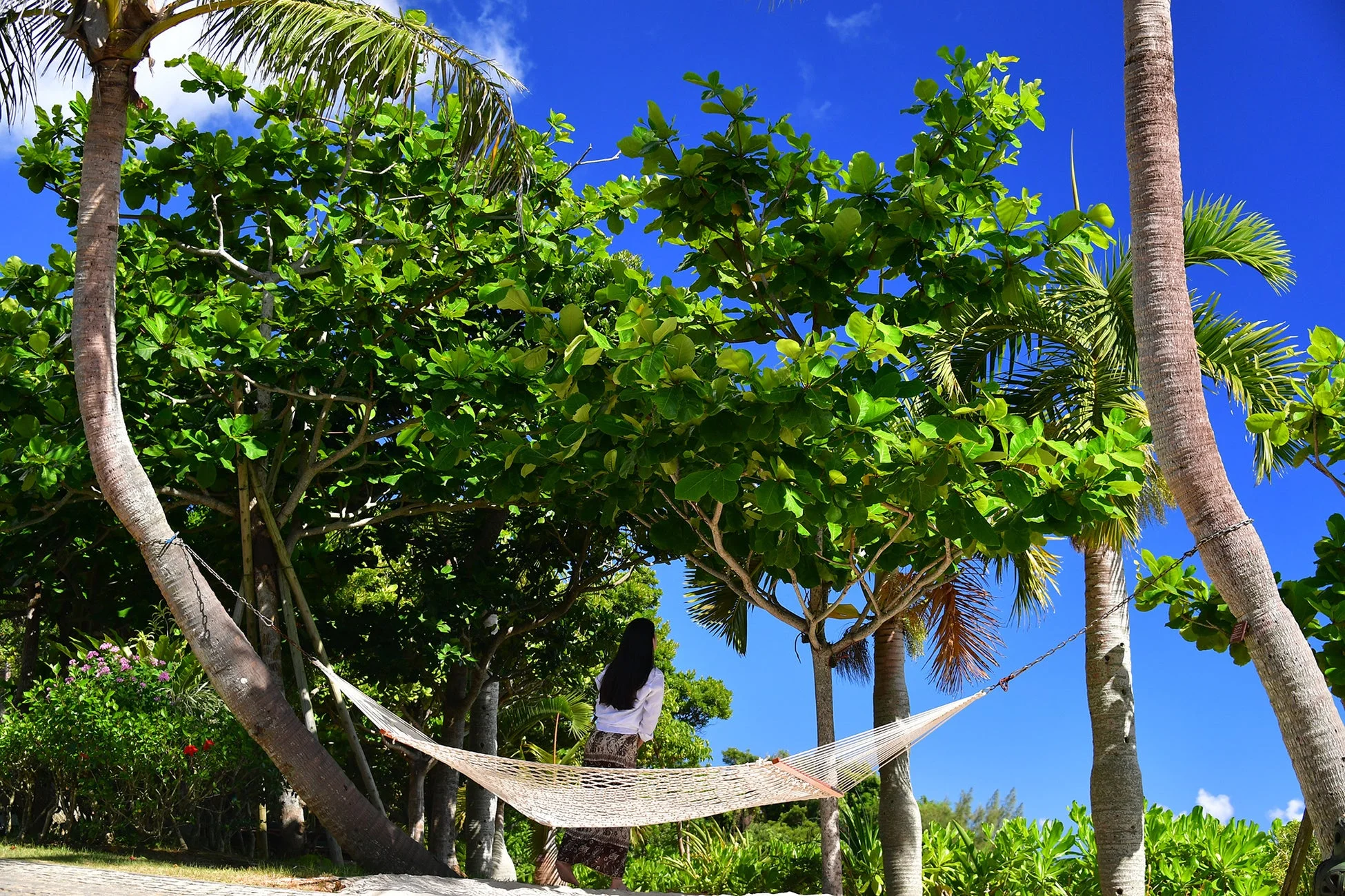 南国の自然に囲まれたハンモックと女性