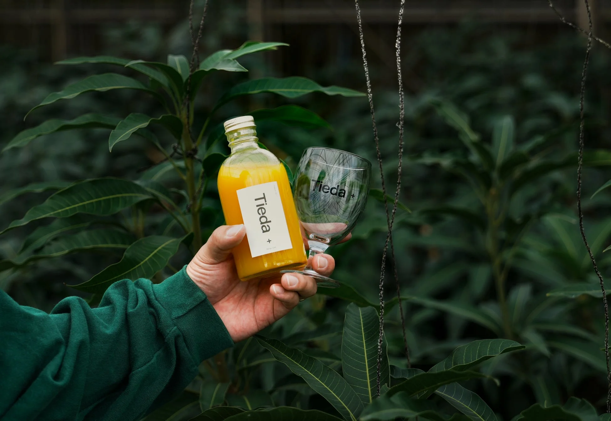 Tieda+のオリジナルマンゴージュース