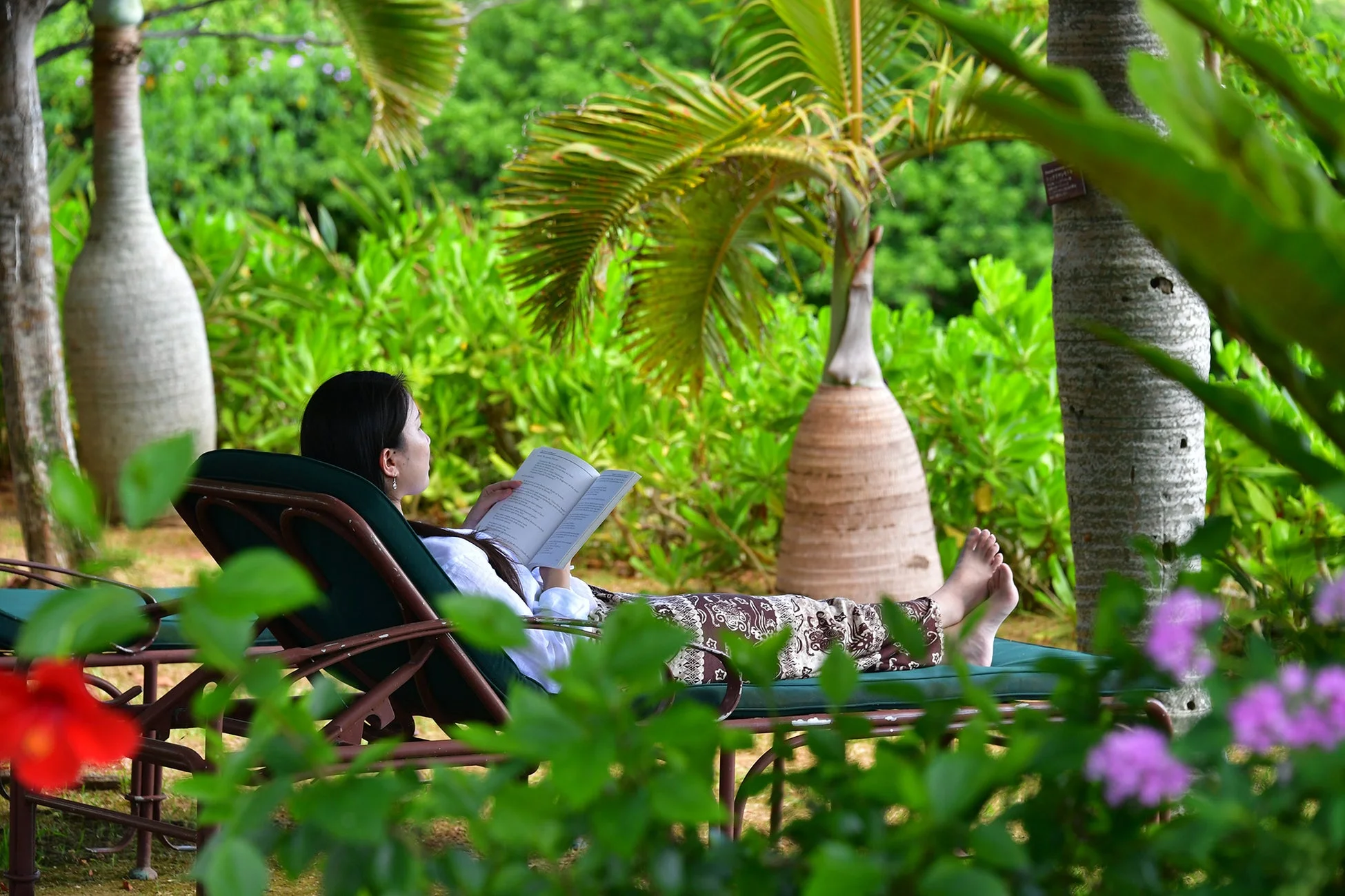 熱帯の庭園で読書を楽しむ女性