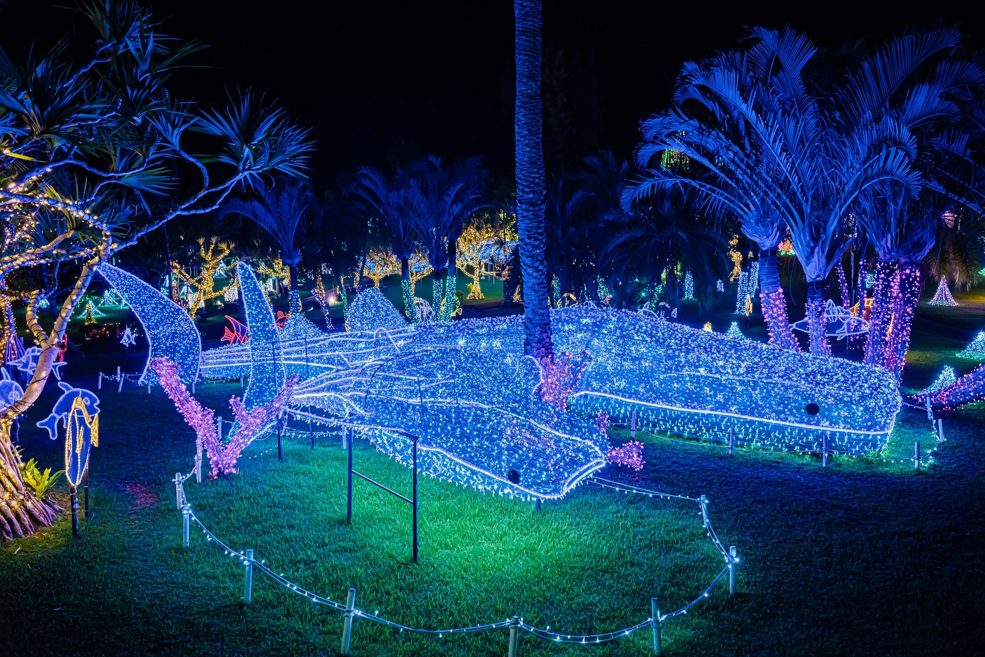 青く光る巨大なクジラのイルミネーション