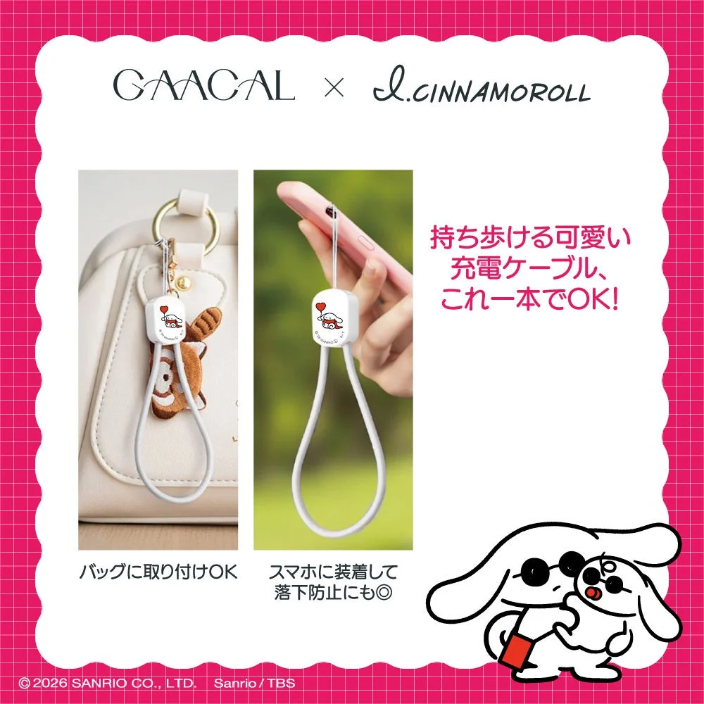 2in1急速充電ケーブル使用例