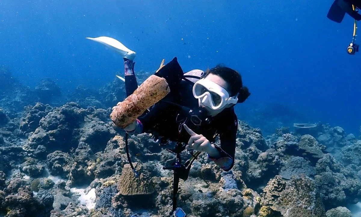 青い海とサンゴ礁が広がる水中を、女性ダイバーが浮遊している様子