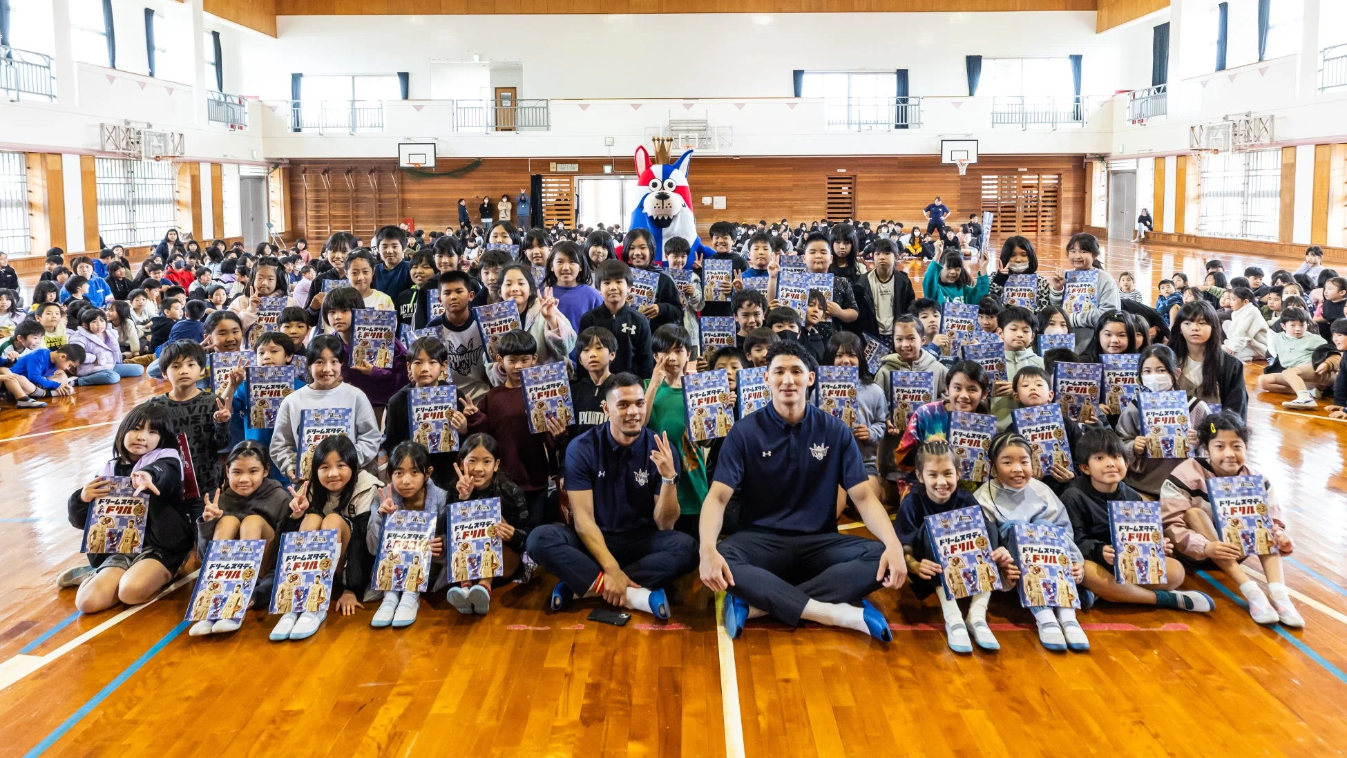 ドリームスタディドリル