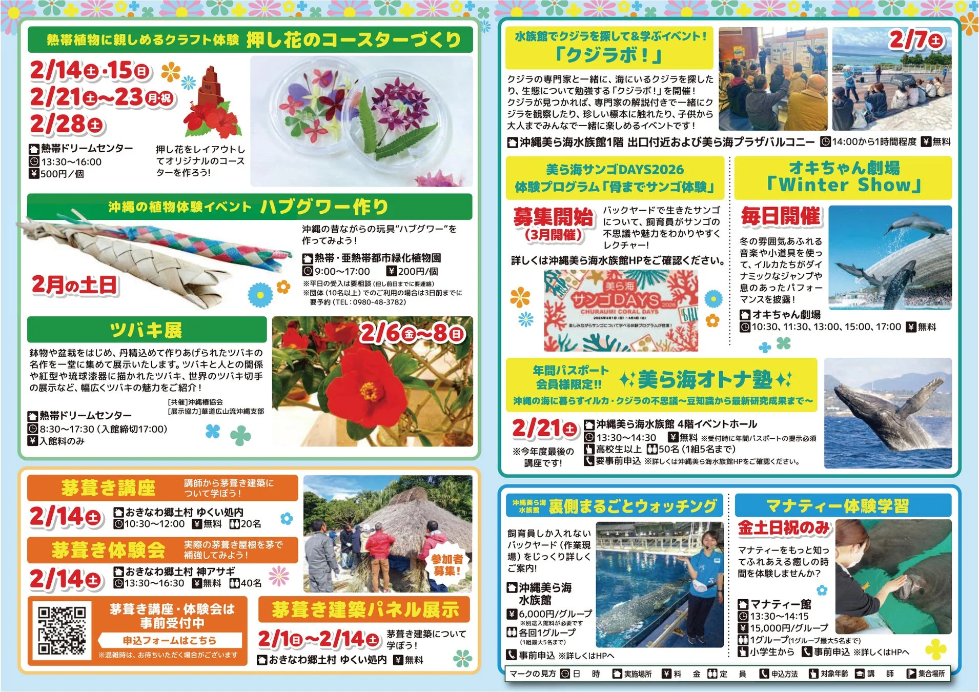 美ら海通信2月号のイベント詳細