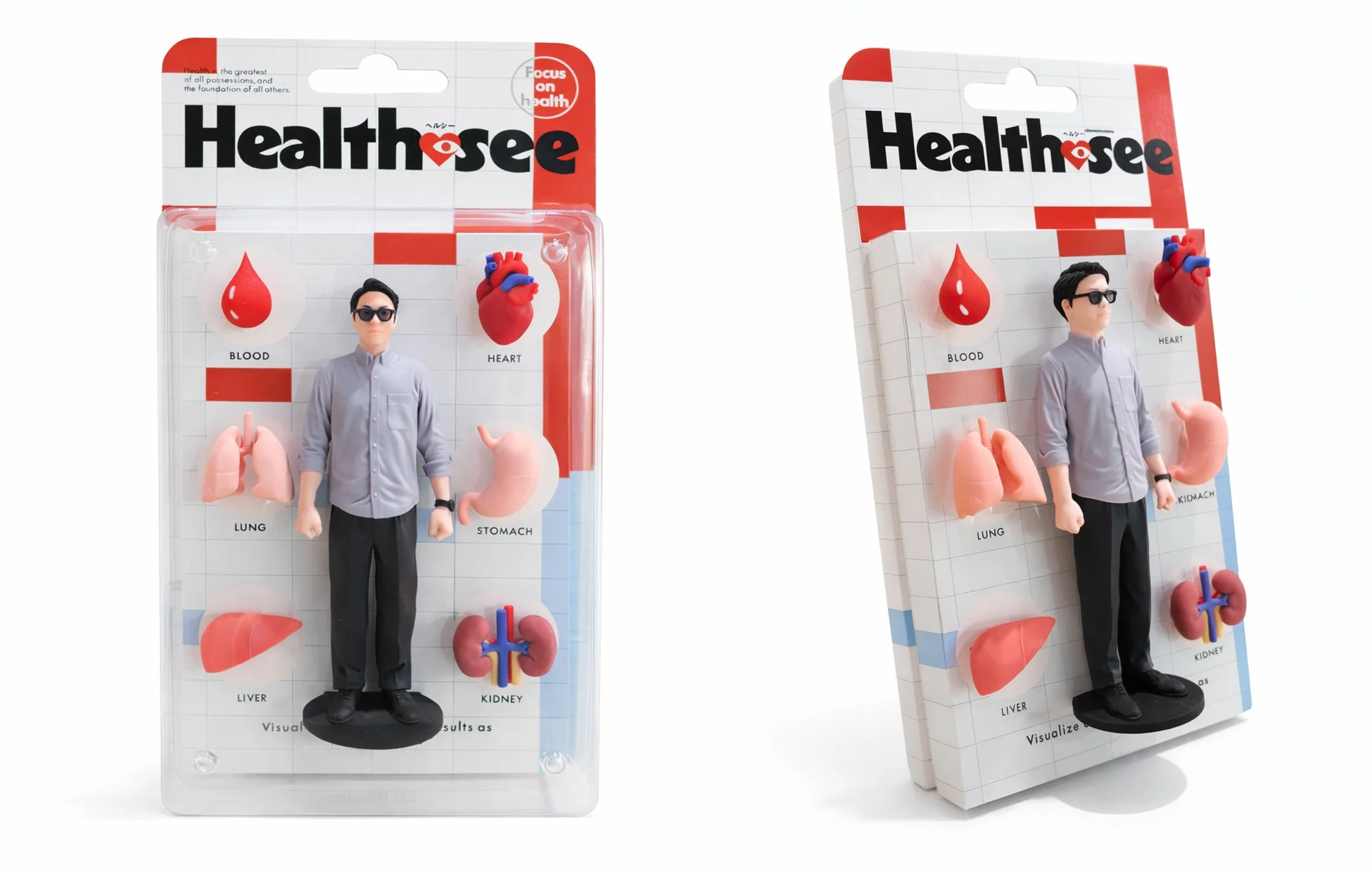 Health seeのパッケージと臓器模型