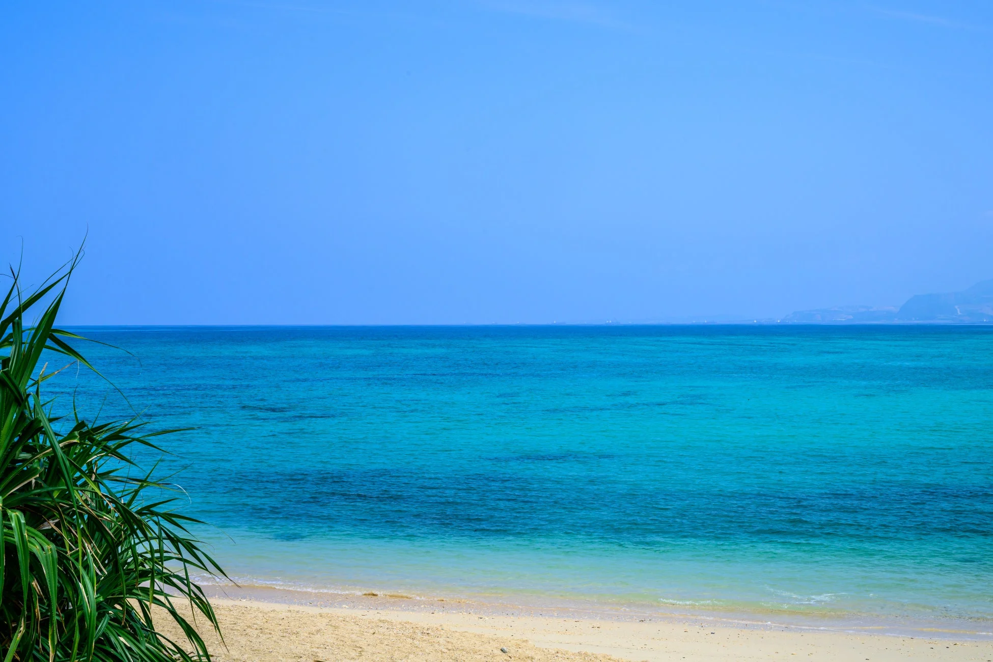 青い空の下、エメラルドグリーンの海と白い砂浜が広がる熱帯のビーチの風景