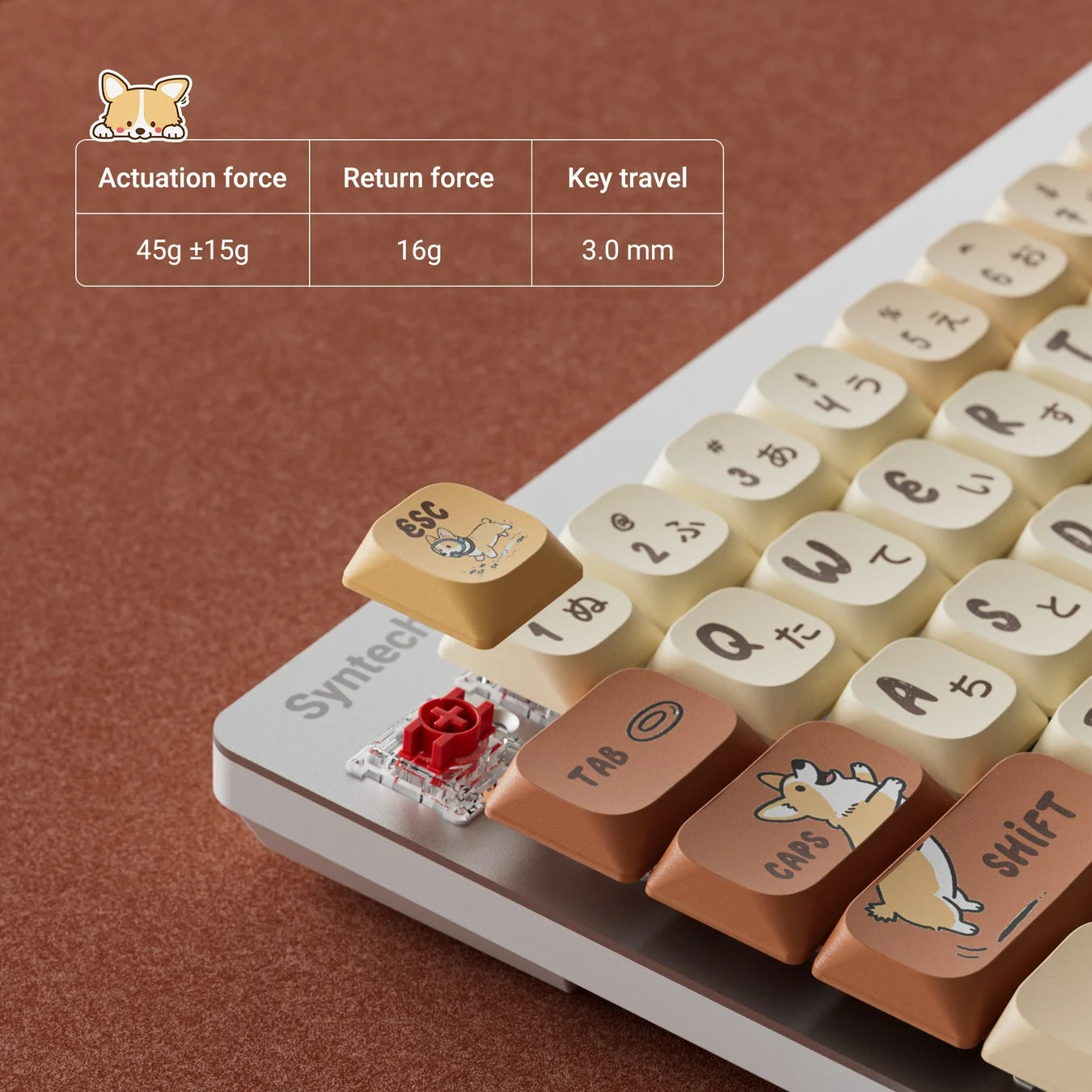 ロープロファイル赤軸とコーギーデザインキーキャップ