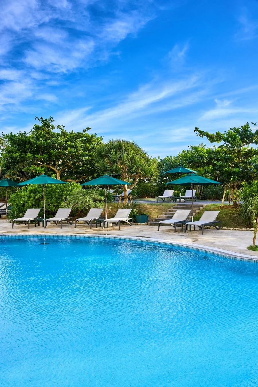 青い空と緑に囲まれた屋外プール