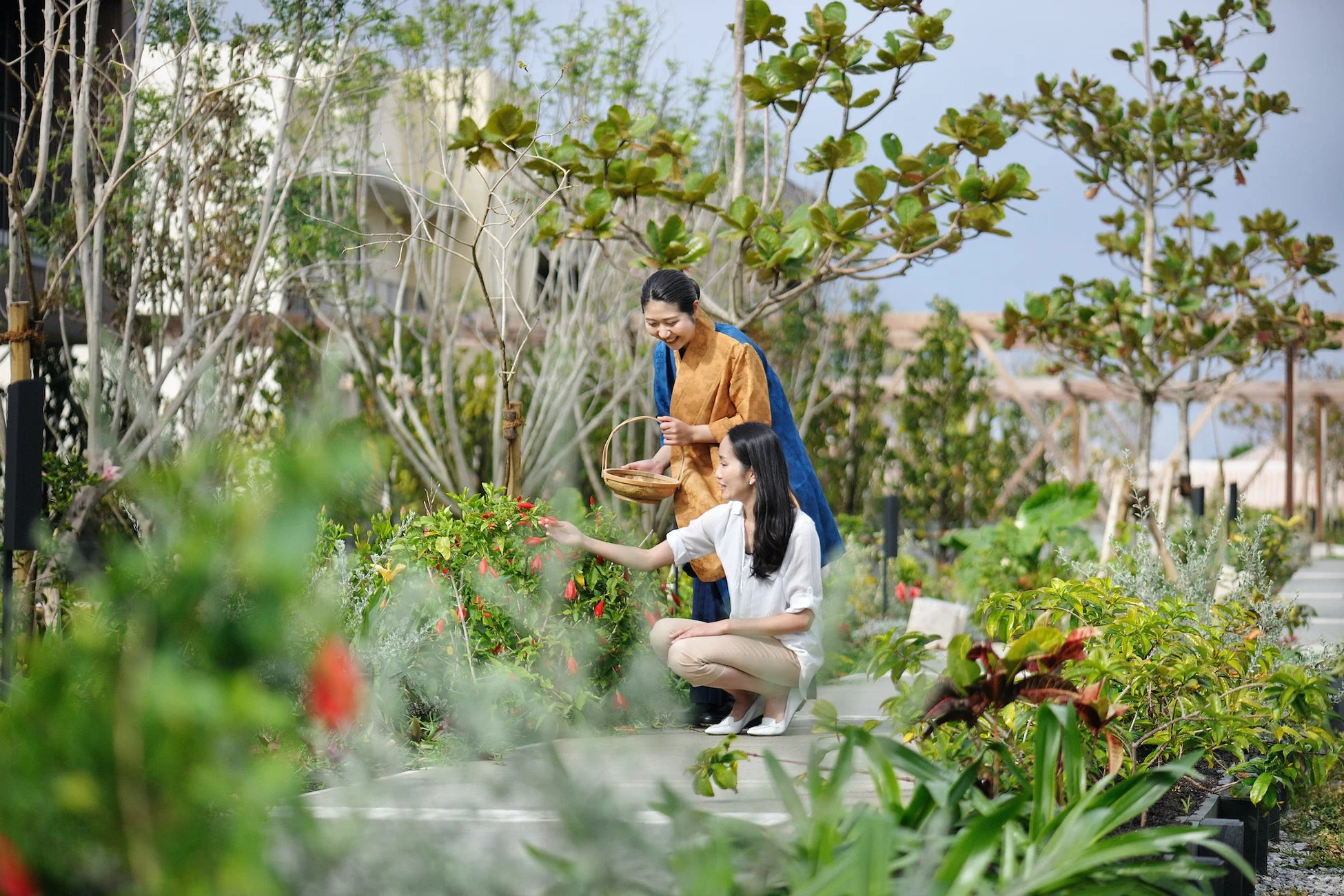 庭園で植物の手入れを楽しむ女性二人