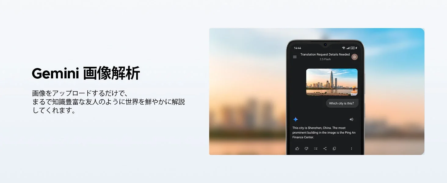 Gemini 画像解析
