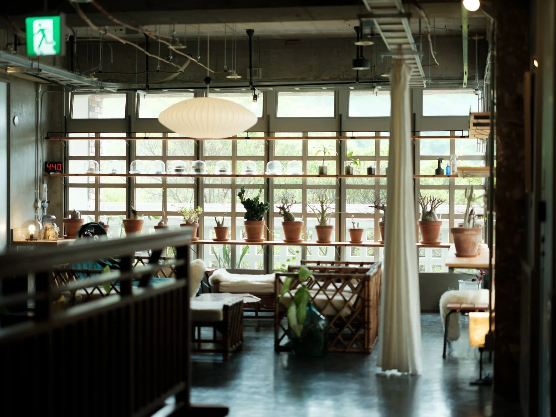 大きな窓から光が差し込む、植物が多く配置されたおしゃれなカフェまたはショップの店内