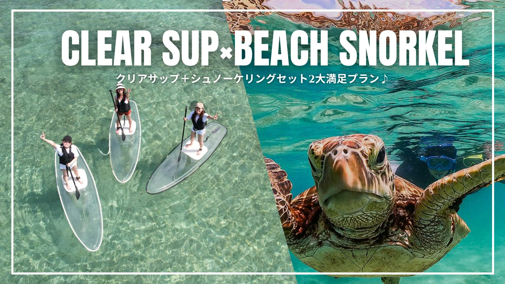 透き通った海でクリアSUPを楽しむ人々や、海中を優雅に泳ぐウミガメとシュノーケリングをする人が描かれた画像