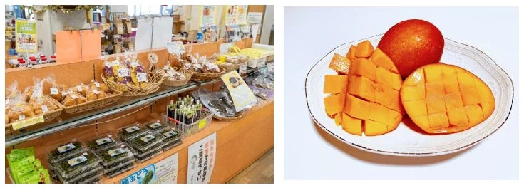 店舗の棚とカットマンゴー