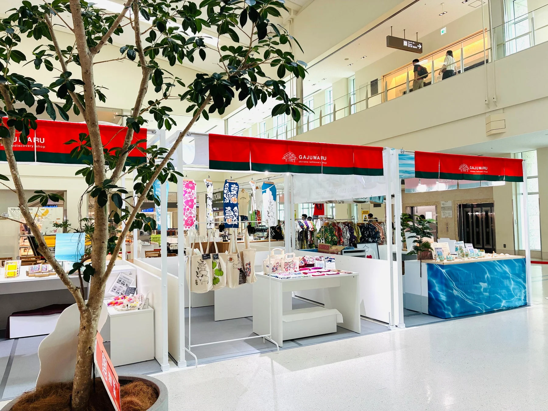 GAJUMARU 店内の様子、観葉植物