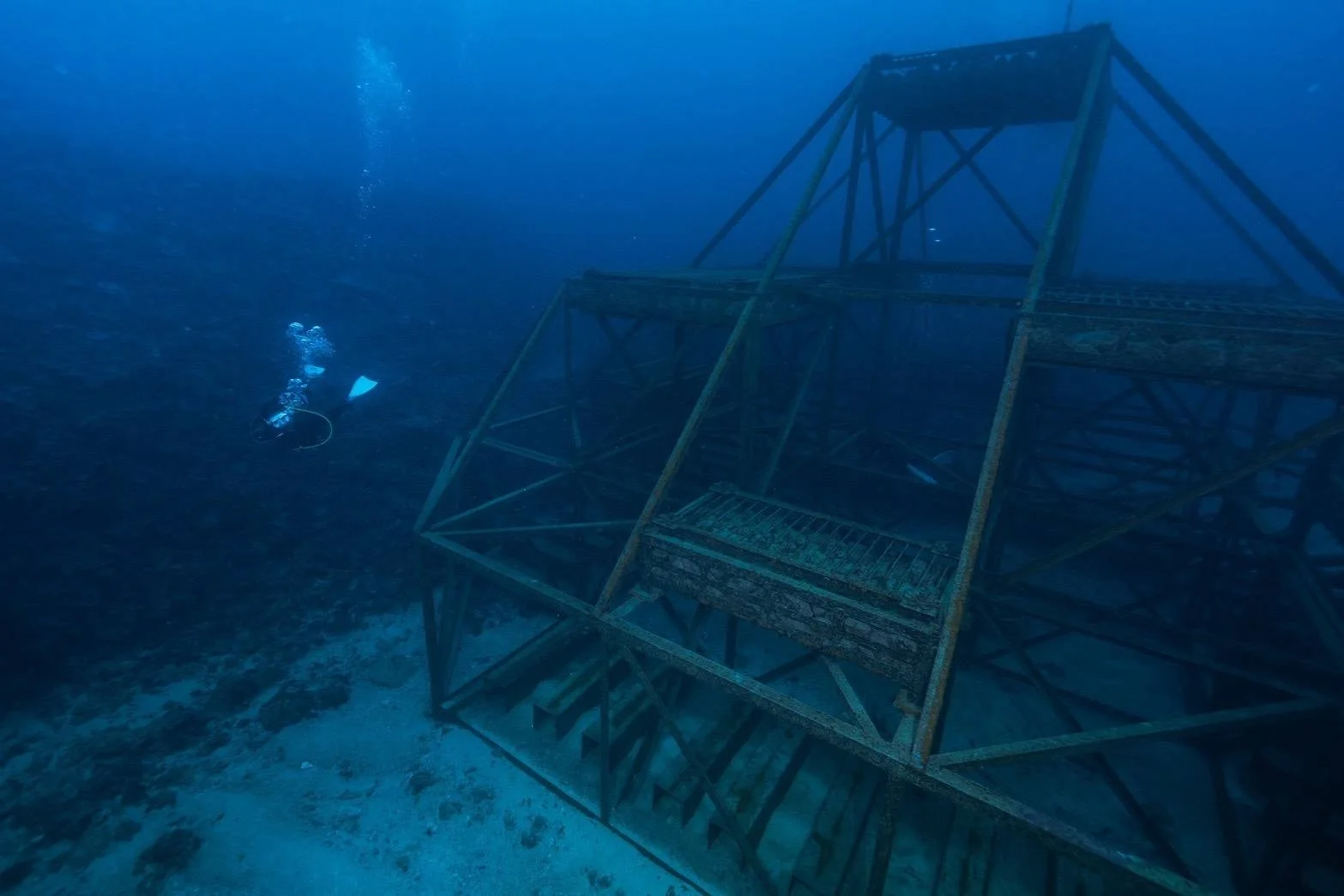 海底の人工構造物とダイバー
