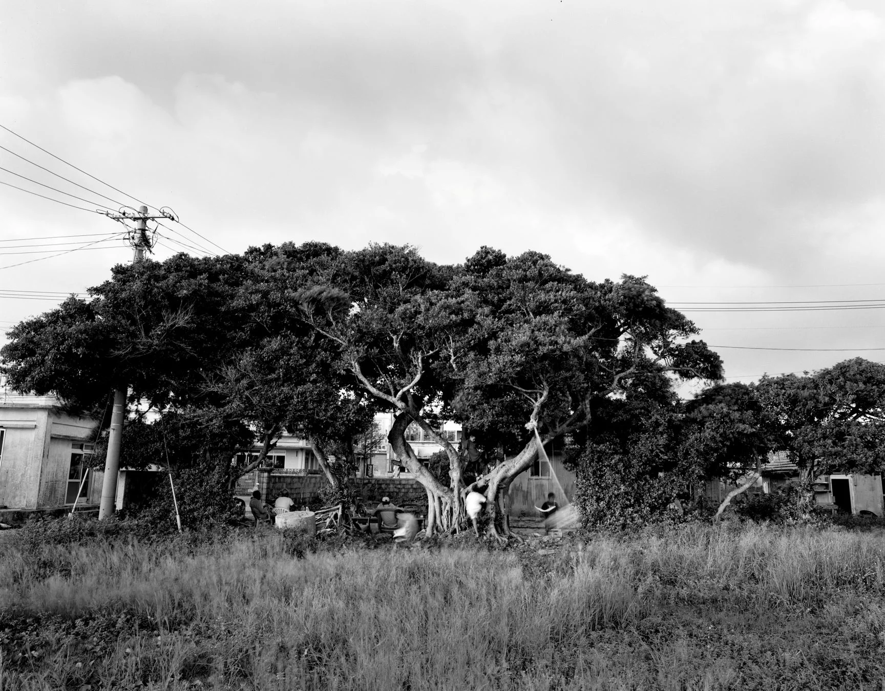 モノクロで撮影された、大きな木々が茂る風景。木の下には数人の人々が集まり、子供がブランコで遊んでいる様子が見える。電線や古い家屋が点在し、のどかな日常が感じられる。