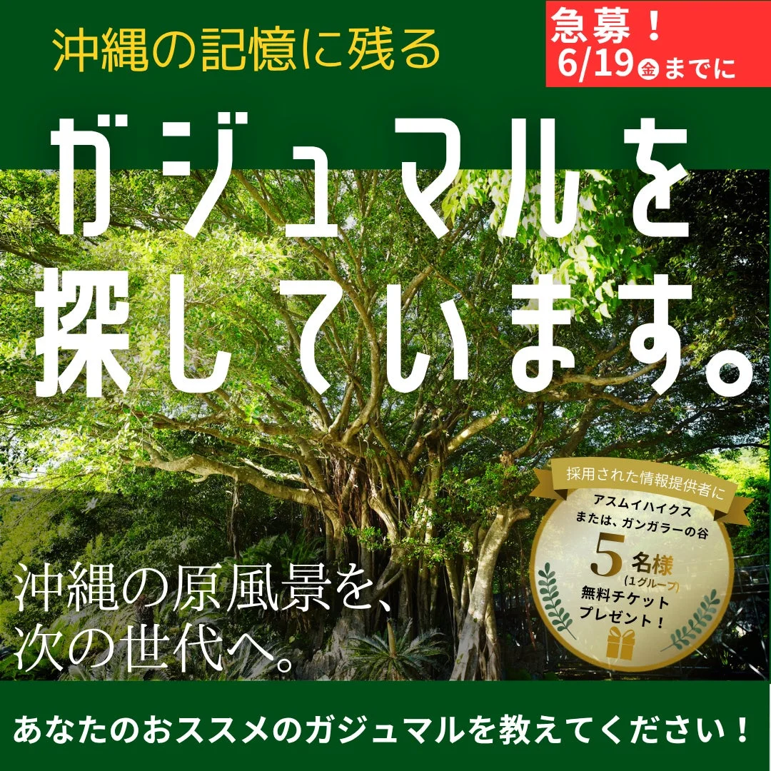 沖縄の記憶に残るガジュマルを探すキャンペーン告知。6月19日締切で、情報提供者から抽選で5名にアスムイハイクスまたはガンガラーの谷の無料チケットをプレゼント。沖縄の原風景を次世代へ繋ぐため、おすすめのガジュマルを募集しています。